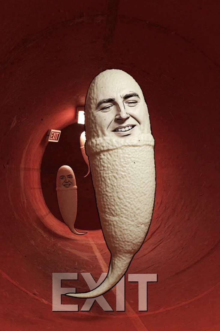 Poster option 11
